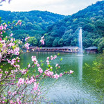 鲲鹏（不老泉）飞跃丛林户外营地