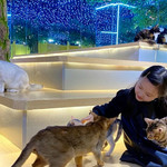宿迁猫咪博物馆