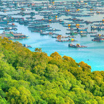 海陵岛