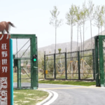 兰州野生动物园