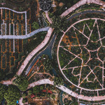 中国月季园