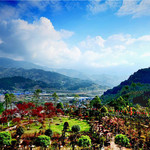 开州盛山植物园