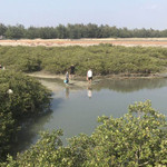 观复赶海