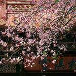 昙华寺