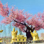 洛神岛