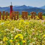 山田心农场
