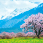 桃花沟风景区
