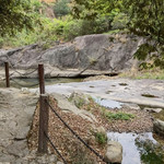 陆河县红椎林生态公园