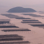 北岐滩涂