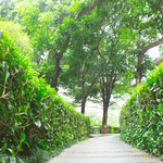 花果山公园