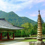 小黑江森林公园