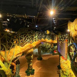 探洞工场( 环球中心旗舰店)