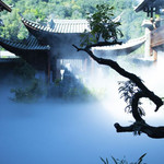 六郎城 · 仙草秘境