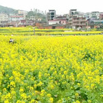 虹山瀑布