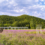 百花山自然保护区