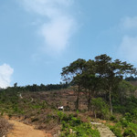 铜锣湾生态旅游景区