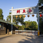 鳄鱼谷