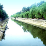 金水河公园