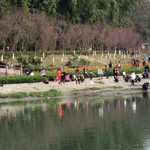 橡树林滨河公园