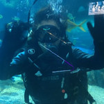 盐城海昌海洋探索馆