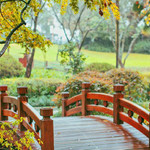 中国茶叶博物馆(双峰馆区)
