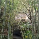 永川桃花源