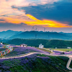 高坡云顶花海