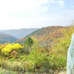 劳山森林公园