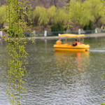 沙河湿地公园