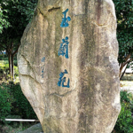 玉兰