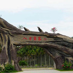 八方留客文化旅游区