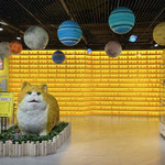 猫咪博物馆(李沧万达店)