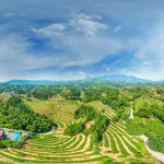 五龙山生态旅游景区