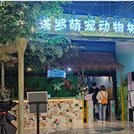 塔罗萌宠