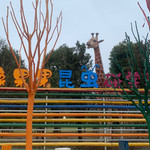 橡果果昆虫研学基地