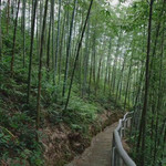 乐昌白水寨生态园