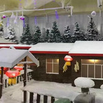 梦幻百花洲飘雪乐园