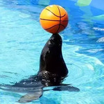 碧波水世界