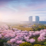金匮公园