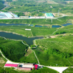 云峰山万亩茶园景区