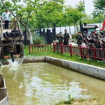 桃花缘生态休闲农场