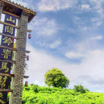 茶马古道景点