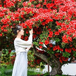 赛石·花朝园