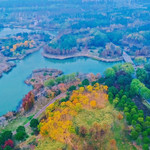 贡湖湾湿地公园
