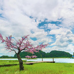 菜花箐苗族生态旅游村