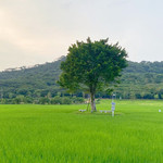 风云岭森林公园