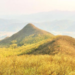 鸬鸟山