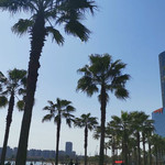 金沙湖公园