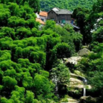 茅塘古村落