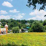 花溪谷